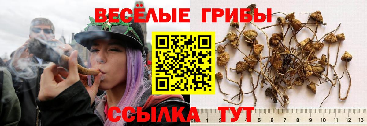 Псилоцибиновые грибы мухоморы Лосино-Петровский
