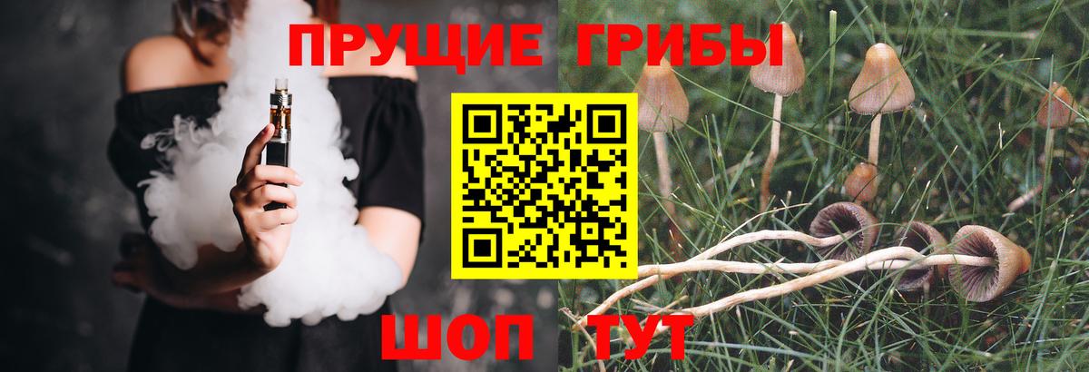 Лосино-Петровский  Галлюциногенные грибы GOLDEN TEACHER  купить закладку  Вход с VPN 